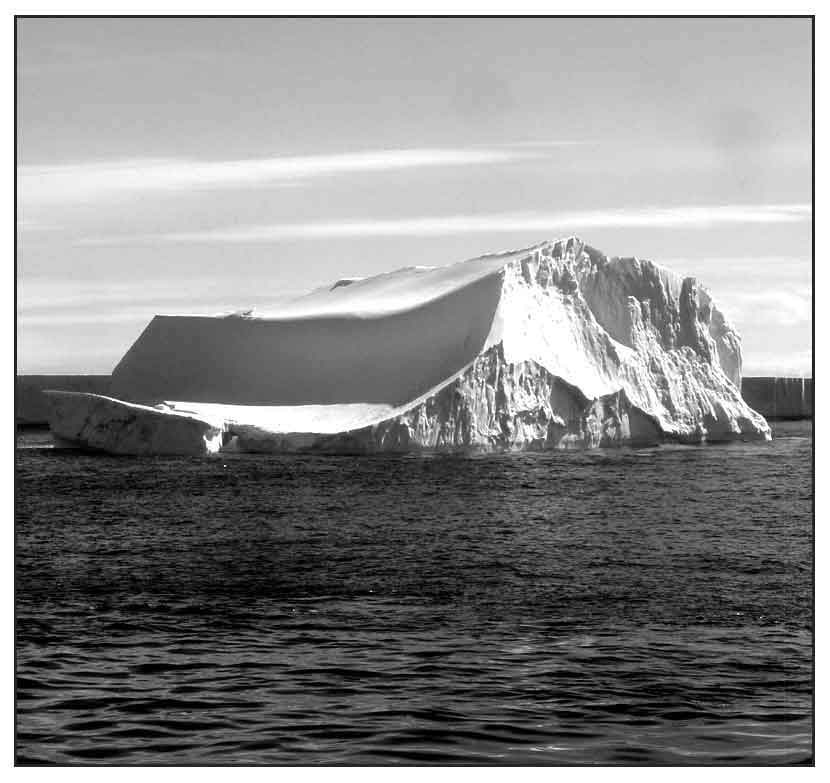 Photos from the Antarctica Travel/ Godofredo Stuart / StuartXchange